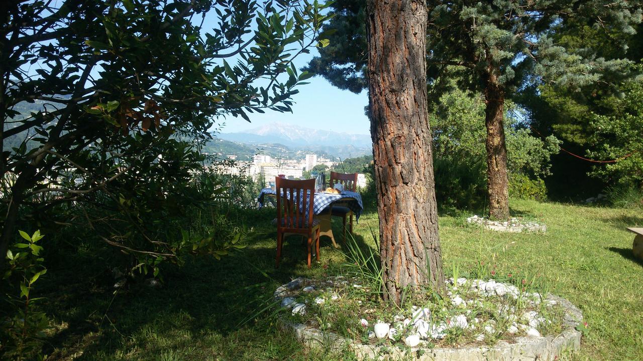 Parco Dei Gelsomini Bed & Breakfast Ascoli Piceno Ngoại thất bức ảnh